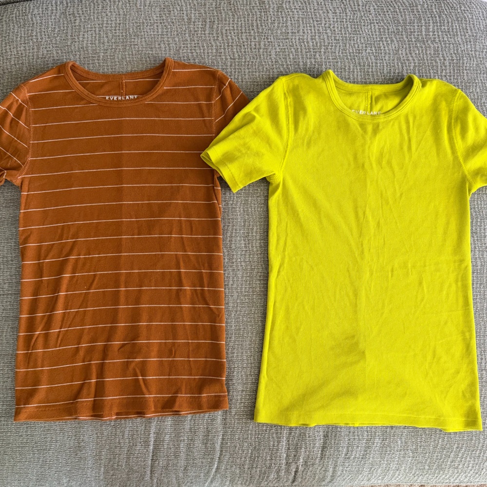Bundle of 2 Everlane Tshirts
